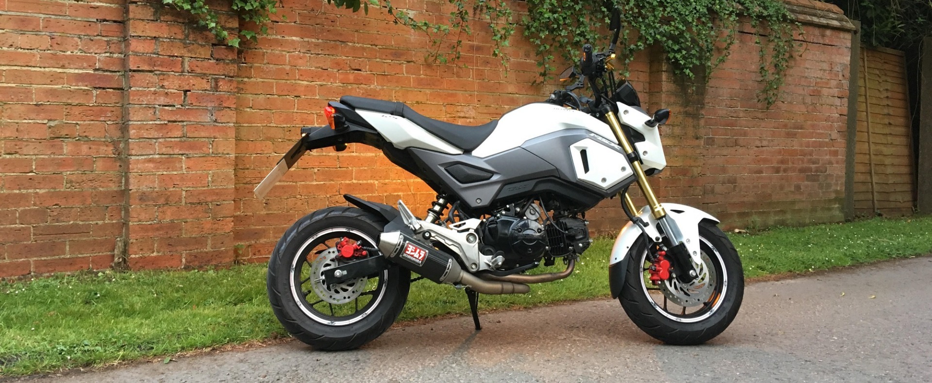 Honda Grom Review 2016 TheBikeMarket