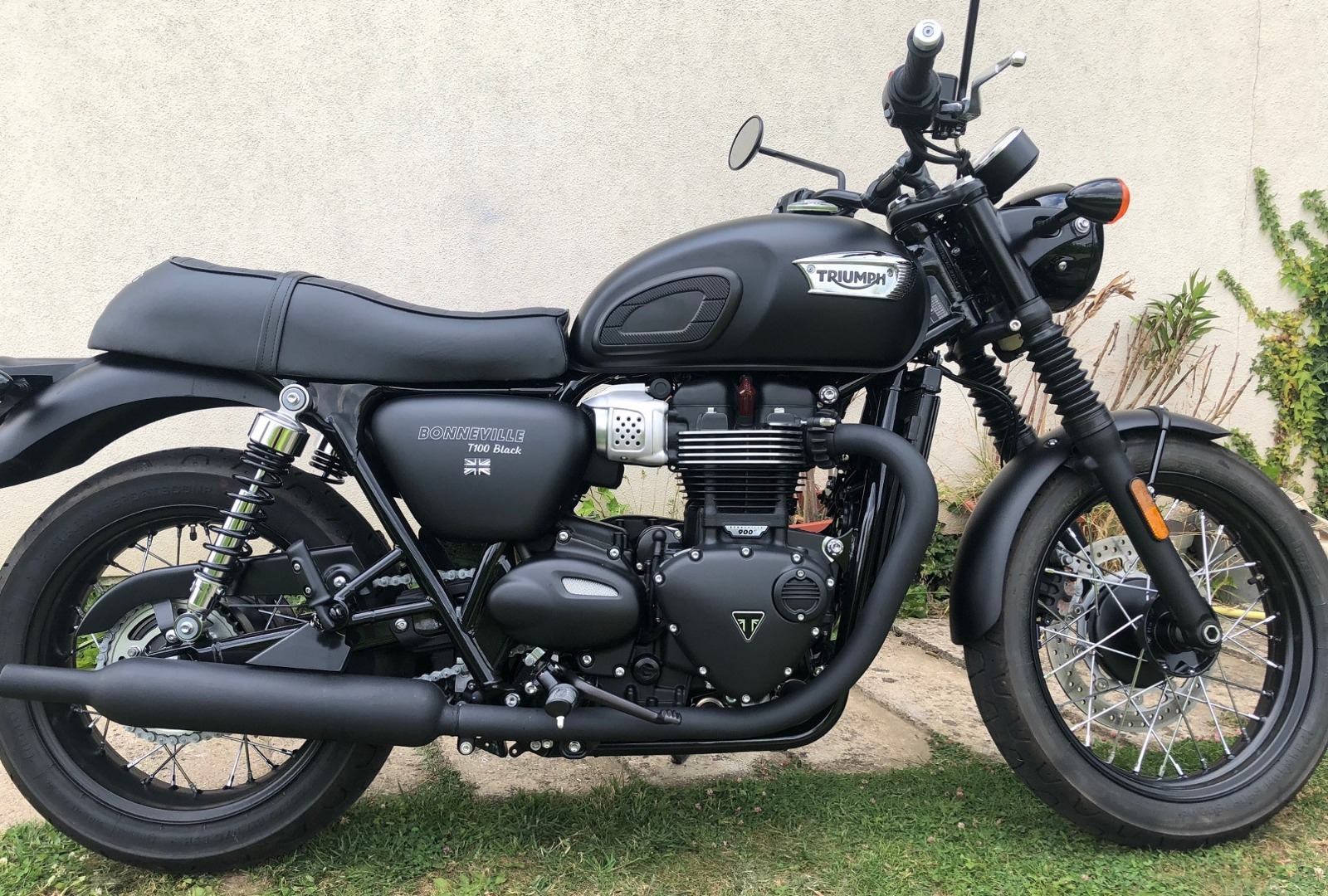 Triumph Bonneville T100 (2017 On) • For Sale • Price Guide • The Bike ...