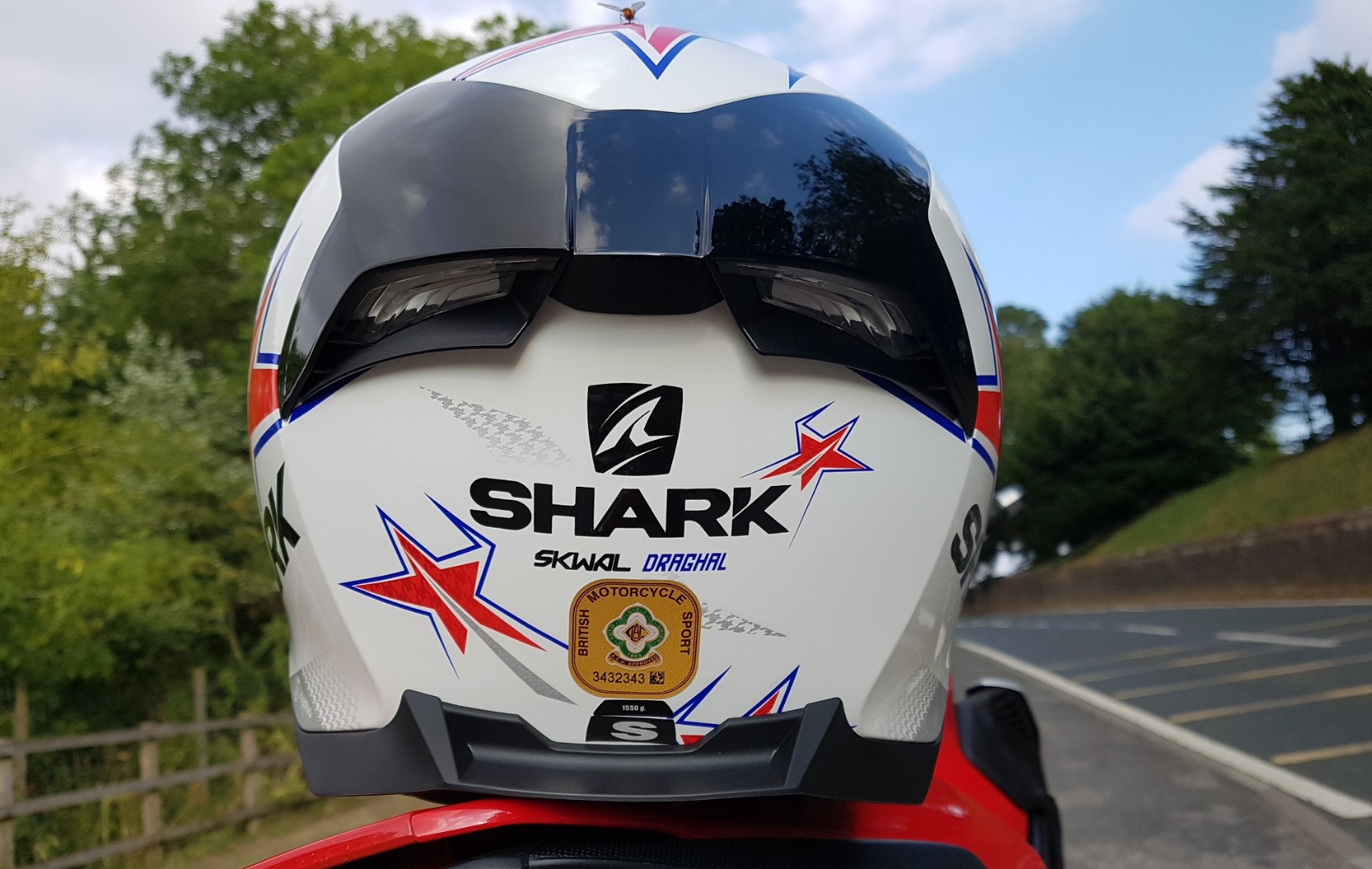 Shark Skwal 2