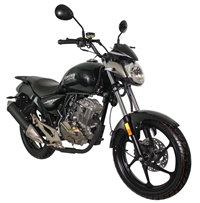 Mantis 125 For Sale