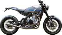 Brute 500 For Sale