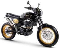 Hero 250 For Sale