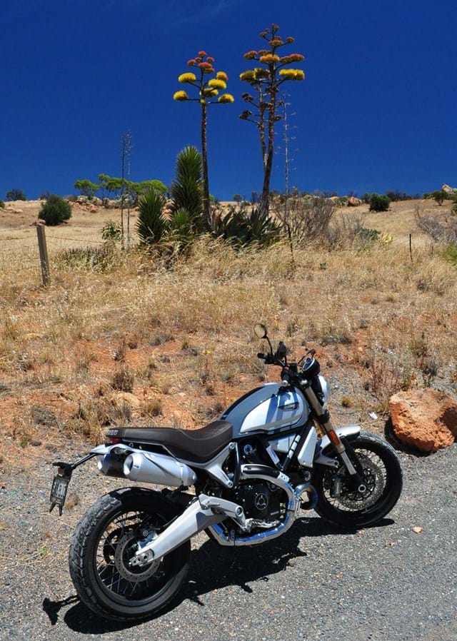Ducati Scrambler 1100 Special