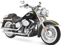 FLSTN Softail Deluxe For Sale