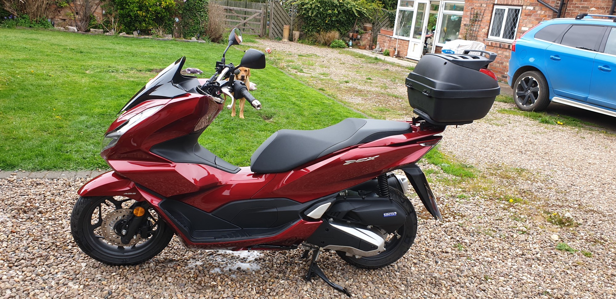 Honda PCX125 Review (2021) • TheBikeMarket
