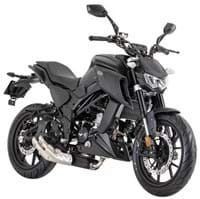 LS-N 125 For Sale